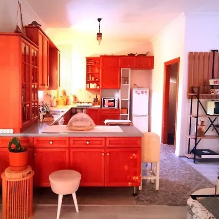 Central, Stylish, 2br, 2bathr, Fast Wifi, Fr-parking, Terrace & Garden בודרום